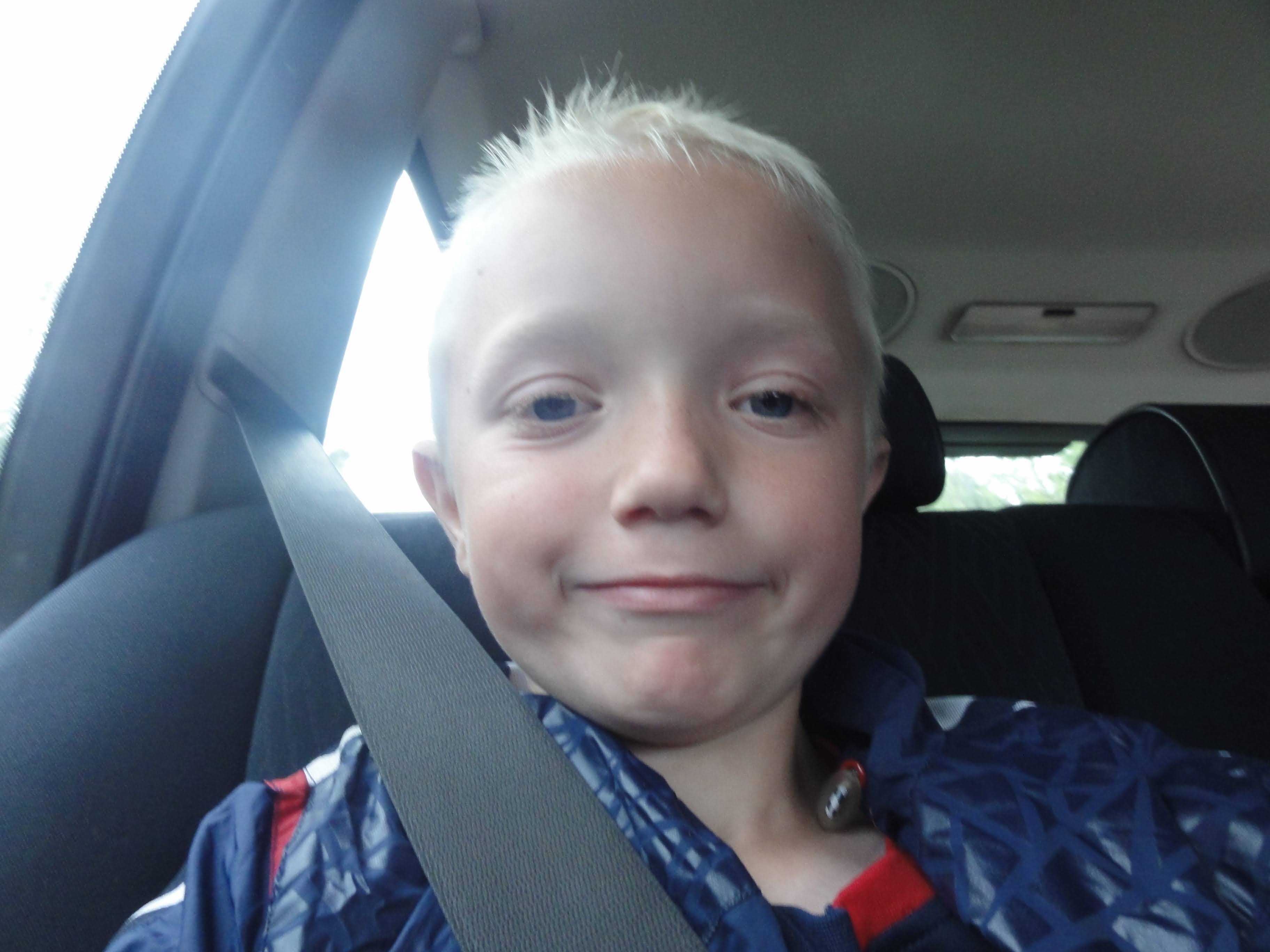 Vores meget elskede kat