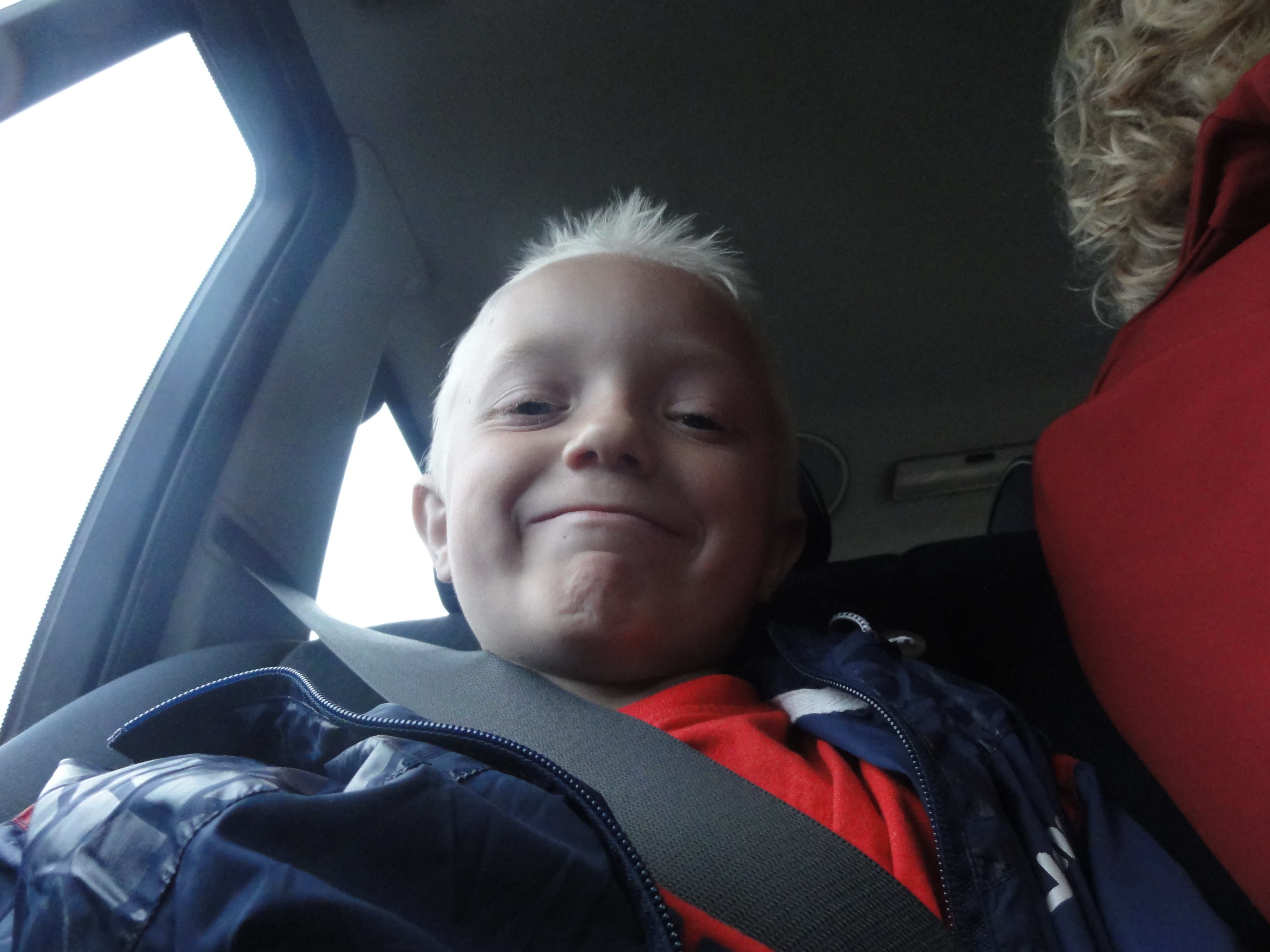 Vores meget elskede kat