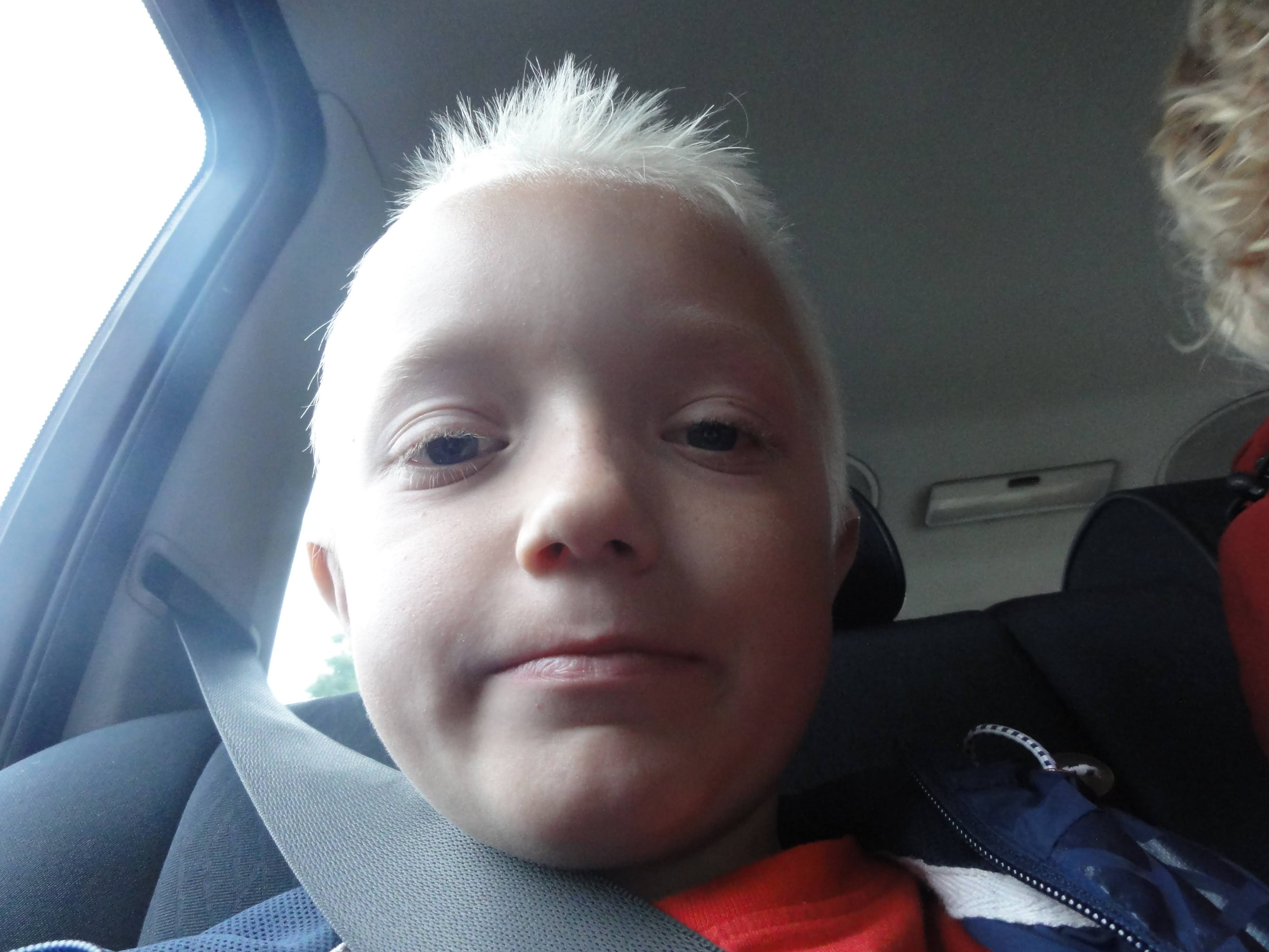 Vores meget elskede kat