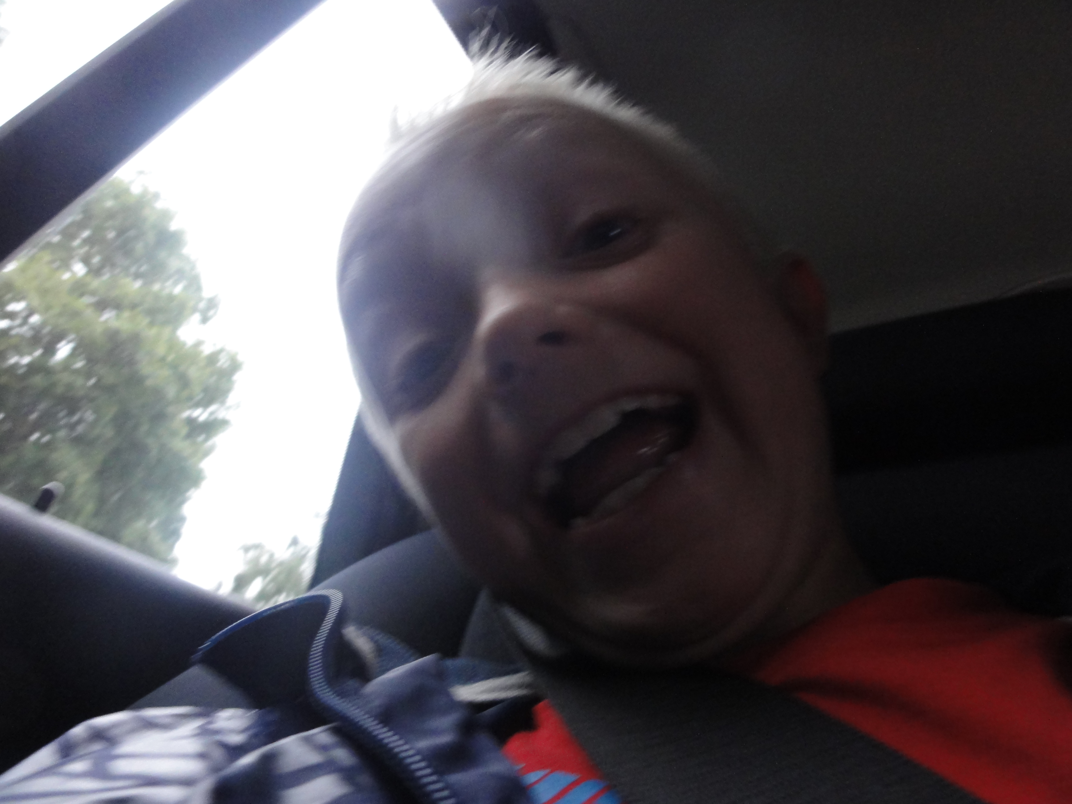 Vores meget elskede kat