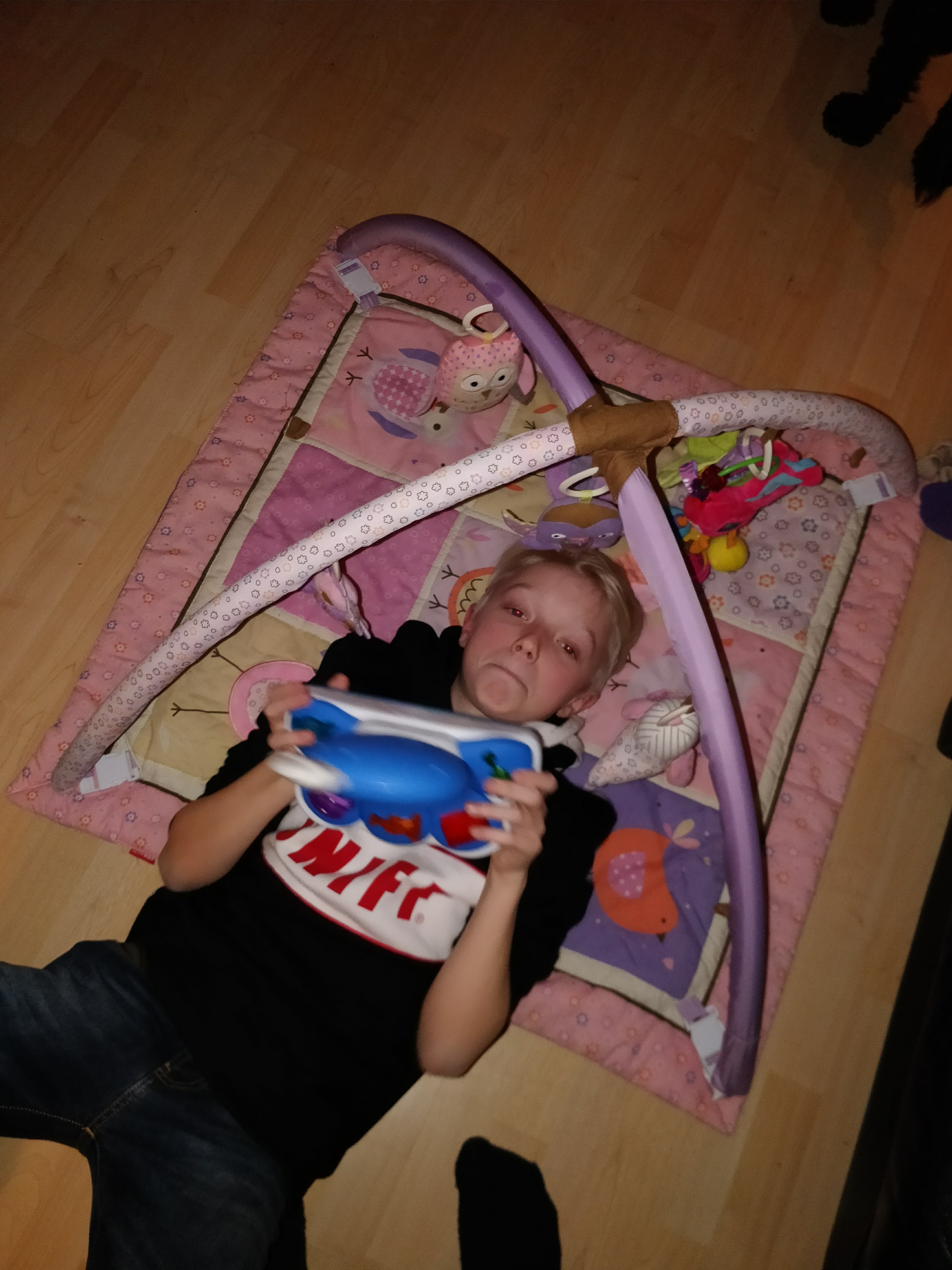 Vores meget elskede kat